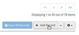 hostico add record 